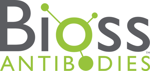 logo-1 logo-1